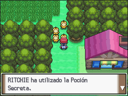 Ruta 210 (2) en Pokémon Platino — captura 1