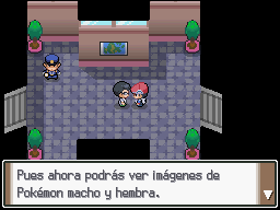 Ruta 218 en Pokémon Platino — captura 2