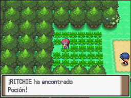 Ruta 202 en Pokémon Platino — captura 2 Ruta 202 en Pokémon Platino — captura 2