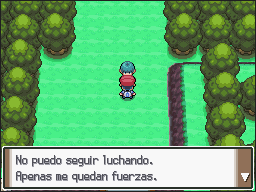 Ruta 203 (2) en Pokémon Platino — captura 1