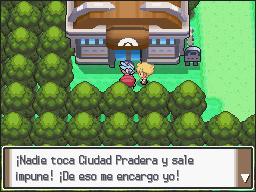 Ciudad Pradera en Pokémon Platino — captura 2 Ciudad Pradera en Pokémon Platino — captura 2