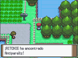 Ruta 204 en Pokémon Platino — captura 2