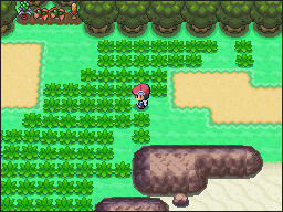 Ruta 213 en Pokémon Platino — captura 2 Ruta 213 en Pokémon Platino — captura 2