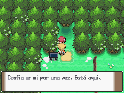Pueblo Hojaverde en Pokémon Platino — captura 2 Pueblo Hojaverde en Pokémon Platino — captura 2
