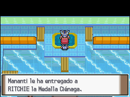 Ciudad Pradera en Pokémon Platino — captura 2 Ciudad Pradera en Pokémon Platino — captura 2