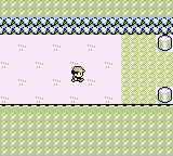 Ciudad Plateada en Pokémon Rojo, Azul y Amarillo — captura 3 Ciudad Plateada en Pokémon Rojo, Azul y Amarillo — captura 3