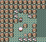Calle Victoria en Pokémon Rojo, Azul y Amarillo — captura 3