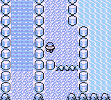 Ruta 24-25 en Pokémon Rojo, Azul y Amarillo — captura 3