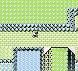 Ruta 22-23 en Pokémon Rojo, Azul y Amarillo — captura 3 Ruta 22-23 en Pokémon Rojo, Azul y Amarillo — captura 3