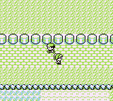 Ruta 12-15 en Pokémon Rojo, Azul y Amarillo — captura 2