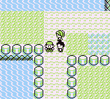 Ruta 5-6 en Pokémon Rojo, Azul y Amarillo — captura 3