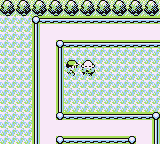 Ruta 11 en Pokémon Rojo, Azul y Amarillo — captura 3 Ruta 11 en Pokémon Rojo, Azul y Amarillo — captura 3