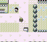 Bosque Verde en Pokémon Rojo, Azul y Amarillo — captura 3