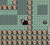 Calle Victoria en Pokémon Rojo, Azul y Amarillo — captura 2
