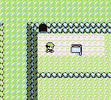 Mt. Moon en Pokémon Rojo, Azul y Amarillo — captura 1
