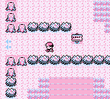 Zona Safari en Pokémon Rojo, Azul y Amarillo — captura 2 Zona Safari en Pokémon Rojo, Azul y Amarillo — captura 2