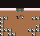 Liga Pokémon en Pokémon Rojo, Azul y Amarillo — captura 2 Liga Pokémon en Pokémon Rojo, Azul y Amarillo — captura 2