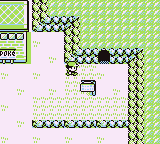 Mt. Moon en Pokémon Rojo, Azul y Amarillo — captura 1