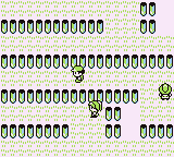 Ruta 12-15 en Pokémon Rojo, Azul y Amarillo — captura 3