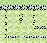 Mt. Moon en Pokémon Rojo, Azul y Amarillo — captura 2