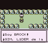 Ciudad Plateada en Pokémon Rojo, Azul y Amarillo — captura 2 Ciudad Plateada en Pokémon Rojo, Azul y Amarillo — captura 2