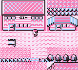 Ciudad Fucsia en Pokémon Rojo, Azul y Amarillo — captura 2 Ciudad Fucsia en Pokémon Rojo, Azul y Amarillo — captura 2