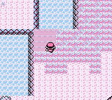 Zona Safari en Pokémon Rojo, Azul y Amarillo — captura 1 Zona Safari en Pokémon Rojo, Azul y Amarillo — captura 1