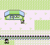 Ciudad Azulona en Pokémon Rojo, Azul y Amarillo — captura 2