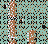 Mt. Moon en Pokémon Rojo, Azul y Amarillo — captura 2