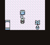 Pueblo Paleta en Pokémon Rojo, Azul y Amarillo — captura 3 Pueblo Paleta en Pokémon Rojo, Azul y Amarillo — captura 3