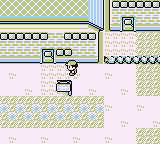 Ciudad Plateada en Pokémon Rojo, Azul y Amarillo — captura 1 Ciudad Plateada en Pokémon Rojo, Azul y Amarillo — captura 1