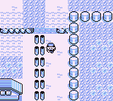 Ruta 5-6 en Pokémon Rojo, Azul y Amarillo — captura 1