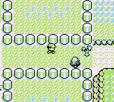 Ruta 9 en Pokémon Rojo, Azul y Amarillo — captura 1 Ruta 9 en Pokémon Rojo, Azul y Amarillo — captura 1