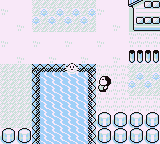 Ruta 21-19 en Pokémon Rojo, Azul y Amarillo — captura 3 Ruta 21-19 en Pokémon Rojo, Azul y Amarillo — captura 3