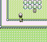 Ruta 8-7 en Pokémon Rojo, Azul y Amarillo — captura 2 Ruta 8-7 en Pokémon Rojo, Azul y Amarillo — captura 2