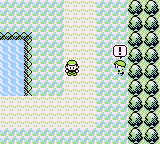 Ruta 5-6 en Pokémon Rojo, Azul y Amarillo — captura 2