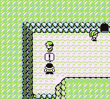 Pueblo Lavanda en Pokémon Rojo, Azul y Amarillo — captura 1 Pueblo Lavanda en Pokémon Rojo, Azul y Amarillo — captura 1