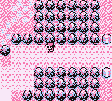 Ruta 12-15 en Pokémon Rojo, Azul y Amarillo — captura 3