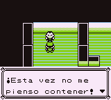 Ciudad Verde en Pokémon Rojo, Azul y Amarillo — captura 3 Ciudad Verde en Pokémon Rojo, Azul y Amarillo — captura 3