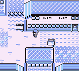 Ciudad Celeste en Pokémon Rojo, Azul y Amarillo — captura 1 Ciudad Celeste en Pokémon Rojo, Azul y Amarillo — captura 1
