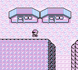 Ruta 12-15 en Pokémon Rojo, Azul y Amarillo — captura 1