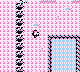 Zona Safari en Pokémon Rojo, Azul y Amarillo — captura 1 Zona Safari en Pokémon Rojo, Azul y Amarillo — captura 1