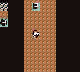 Mt. Moon en Pokémon Rojo, Azul y Amarillo — captura 3