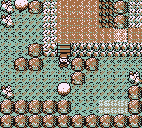 Calle Victoria en Pokémon Rojo, Azul y Amarillo — captura 1