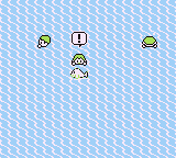 Ruta 21-19 en Pokémon Rojo, Azul y Amarillo — captura 2 Ruta 21-19 en Pokémon Rojo, Azul y Amarillo — captura 2
