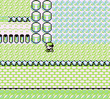 Ruta 22-23 en Pokémon Rojo, Azul y Amarillo — captura 1 Ruta 22-23 en Pokémon Rojo, Azul y Amarillo — captura 1