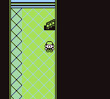 Ruta 5-6 en Pokémon Rojo, Azul y Amarillo — captura 3