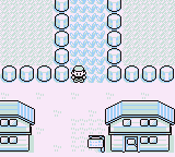 Ruta 1 en Pokémon Rojo, Azul y Amarillo — captura 1