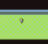 Ruta 8-7 en Pokémon Rojo, Azul y Amarillo — captura 1 Ruta 8-7 en Pokémon Rojo, Azul y Amarillo — captura 1