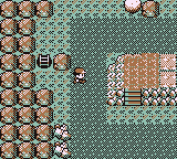 Calle Victoria en Pokémon Rojo, Azul y Amarillo — captura 3